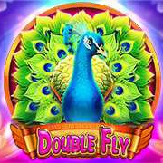 image slot double fly